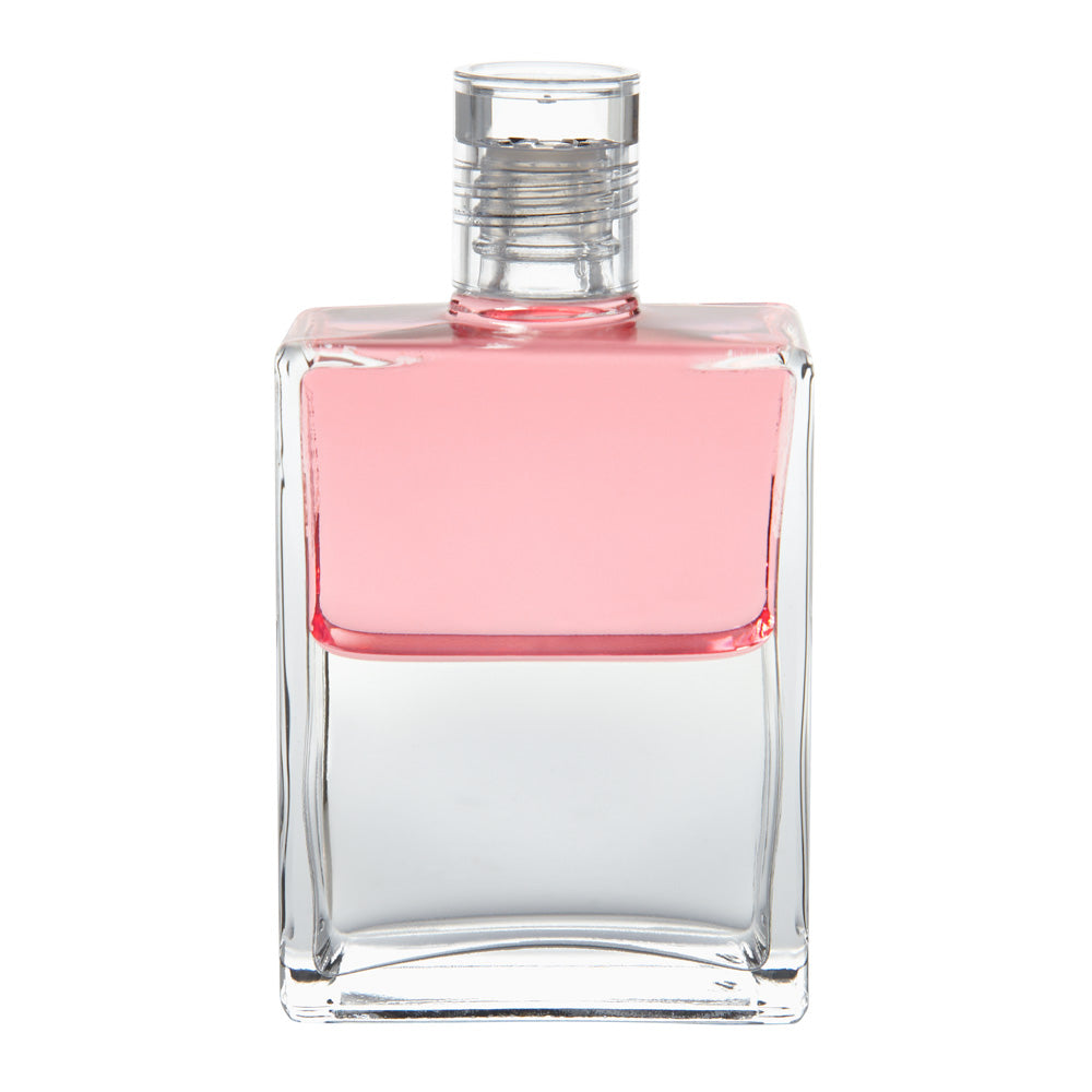 Equilibrium 71 – La Bottiglia degli Esseni 2 / Il Gioiello nel Loto