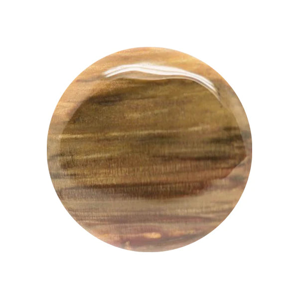 Cabochon Legno Fossile