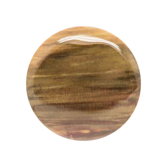 Cabochon Legno Fossile