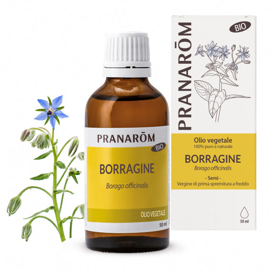 Borragine - Borago officinalis - 50 ml