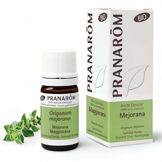 Maggiorana - Origanum majorana - 5 ml